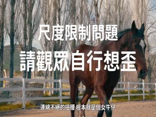 [阿飞][2020-03-15] 耗资800万美金的成人片主演Jesse Jane